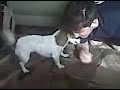 Dog on Acid Dog on Acid