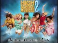 Hsm 2 - humuhumunukunukuapuaa (remix)