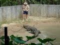 Crocodile Show Nearly Gets Nasty