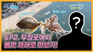 [2026 무창포 주꾸미&도다리 축제 2편] 시장님 추천! 믿고 먹는 보령 주꾸미·도다리 축제