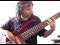 the flight of the bumble bee on a 7strings bass