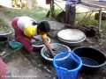 Village life in Issan, in Baan Don pa, Non Sung, Korat, Thailand.
