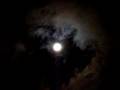 Moon Over Tennessee