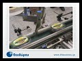 Theodorou Automation Case Study: Print  Apply System (Herma  SmartDate)