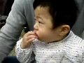 お花見弁当動画4