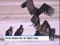 Click para Ver : Los humedales de Mongolia y de La Mancha. Reportaje Informativo TVE Castilla-La Mancha. 14/07/2015.