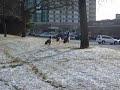 C'est fou ce qu'on voit à Edina !