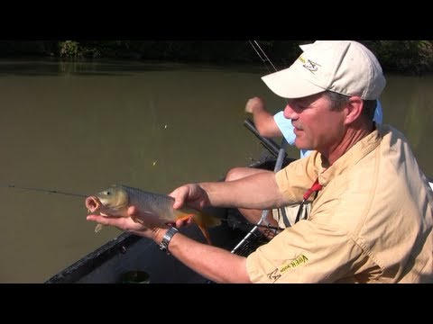 How To Fish for Carp from a Small Boat