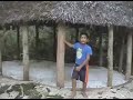 Falealupo, Savaii - Canopy Walk & Moso's Footprint