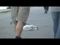 Yürüme grevindeki köpecik http://www.youtube.com/watch?v=5vU3l_q8EWE