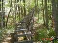 Blue Ridge Parkway