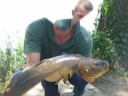 top fish