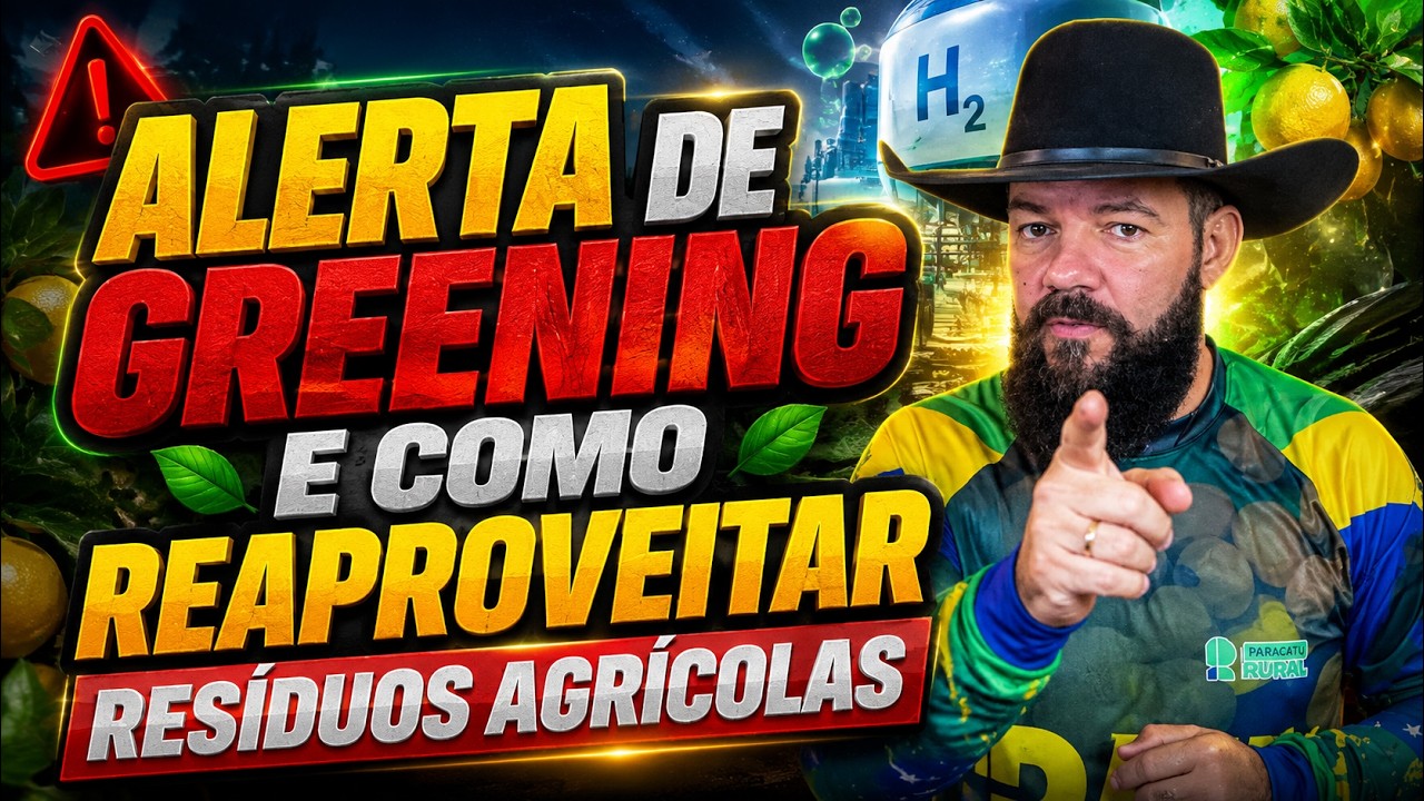 ALERTA DE GREENING e como reaproveitar resíduos agrícolas.