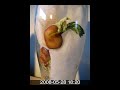 Broad Bean Video