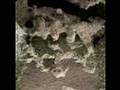 Spirit Microscopic Imager in True Colors Lunar Explorer