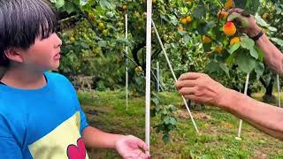 『はいどうぞ』