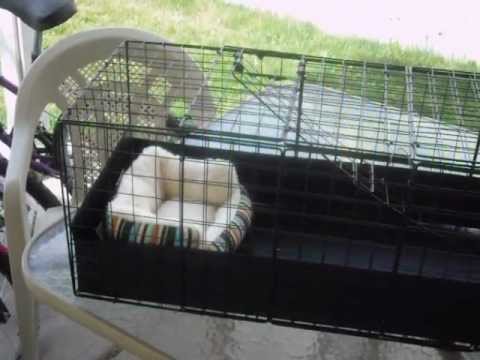 how to make a door in a c&c cage