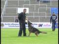 Orlog BSP 2008 Schutzdienst