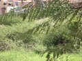 terreno oaxaca
