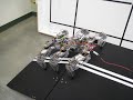 Hexor Six-Legged Robot Walking Over its Course