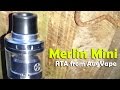 Mino - Merlin Mino