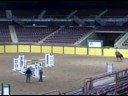 SHN H/J schooling SHN H/J schooling