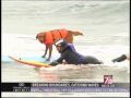Surf Dog & Adaptive surfer doing tandem on NBC news