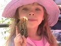 Butterflies Are Free Butterflies Are Free