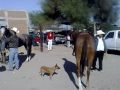 Caballos. Cabalgata 1 San Miguel 061209.mp4