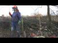 Sedbergh Hedging Competition