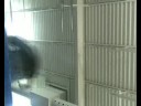 Team Motion Gym Training #1