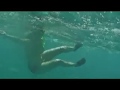 Coco's Keeling islands