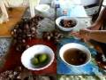 Eatin Curiles at Playas de Las Tunas, El Salvador