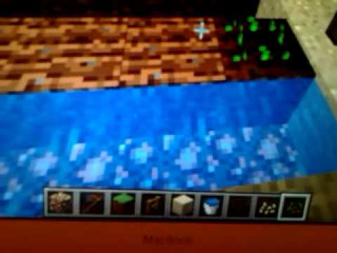 how to plant seeds i minecraft