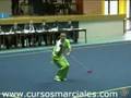 Raul Estevez Qiangshu EU06