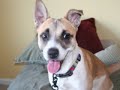 Katrina refugee needs a home