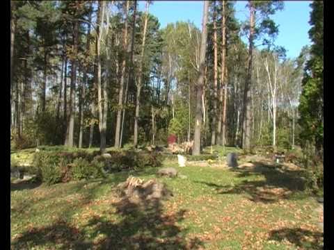 ZasÄ vÄ“l turpinÄs novÄ“rst augusta vÄ“tru sekas