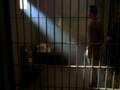 Frame-Up: Gibbs/DiNozzo