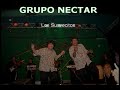  01  recital nectar en magico   ultimo recital