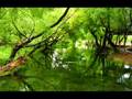 videos de Travel In Southwest China