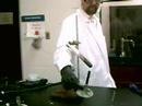 Flaming Gummy Bears 01