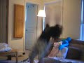 See video