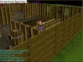 The Infamous Runescape Chair Glitch