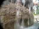 Aquaventure... Rapids !!  Atlantis Paradise Island
