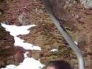 NEVE