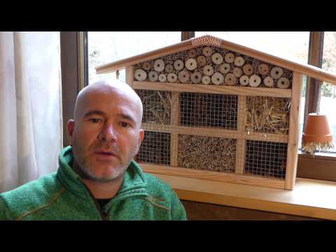 Insektenhotel selber bauen (kleines Haus)