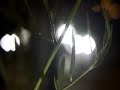 audio/video installation desperados