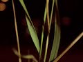 audio/video installation desperados