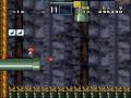 SMW-REX-13-forest-in