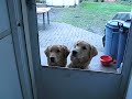 simon and kayti